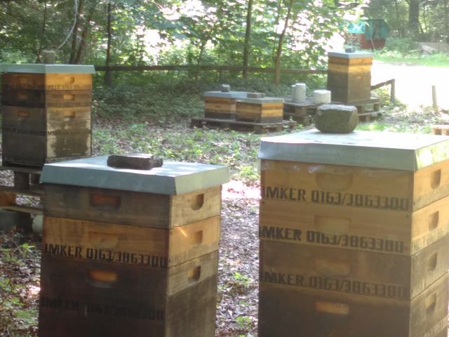 養蜂場