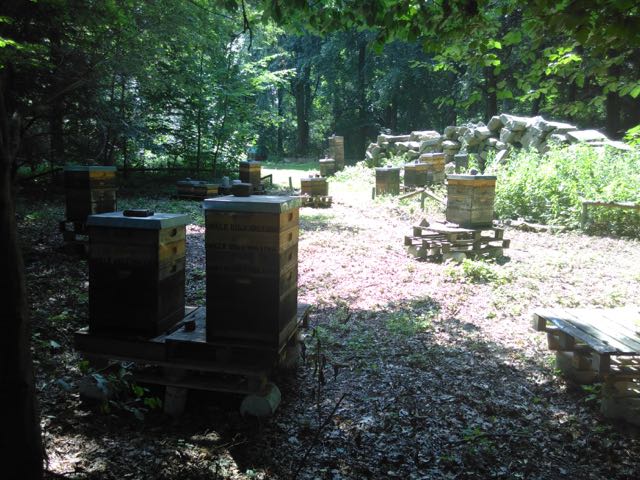 養蜂場