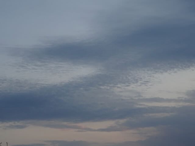 夏の雲