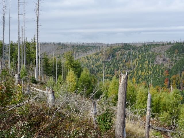 ハルツ国立公園