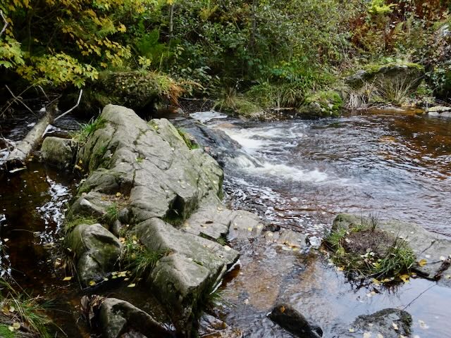 イルゼ川上流の滝