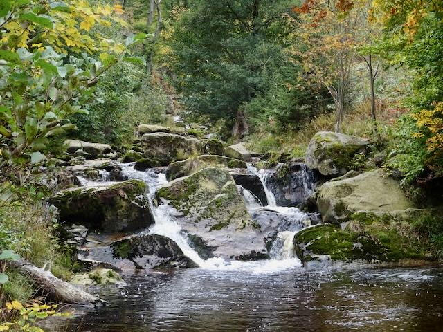 イルゼ川下流の滝